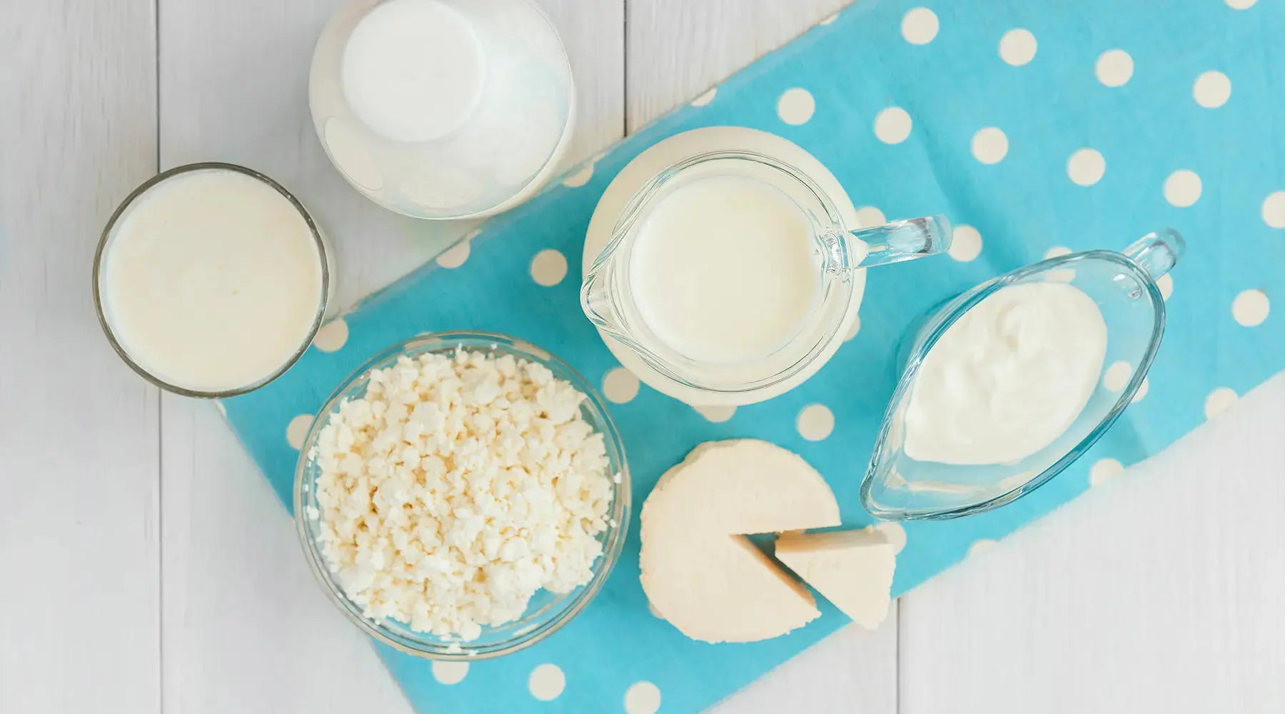 Lactase – O que é?Para que serve? Benefícios NatusVita Suplementos
