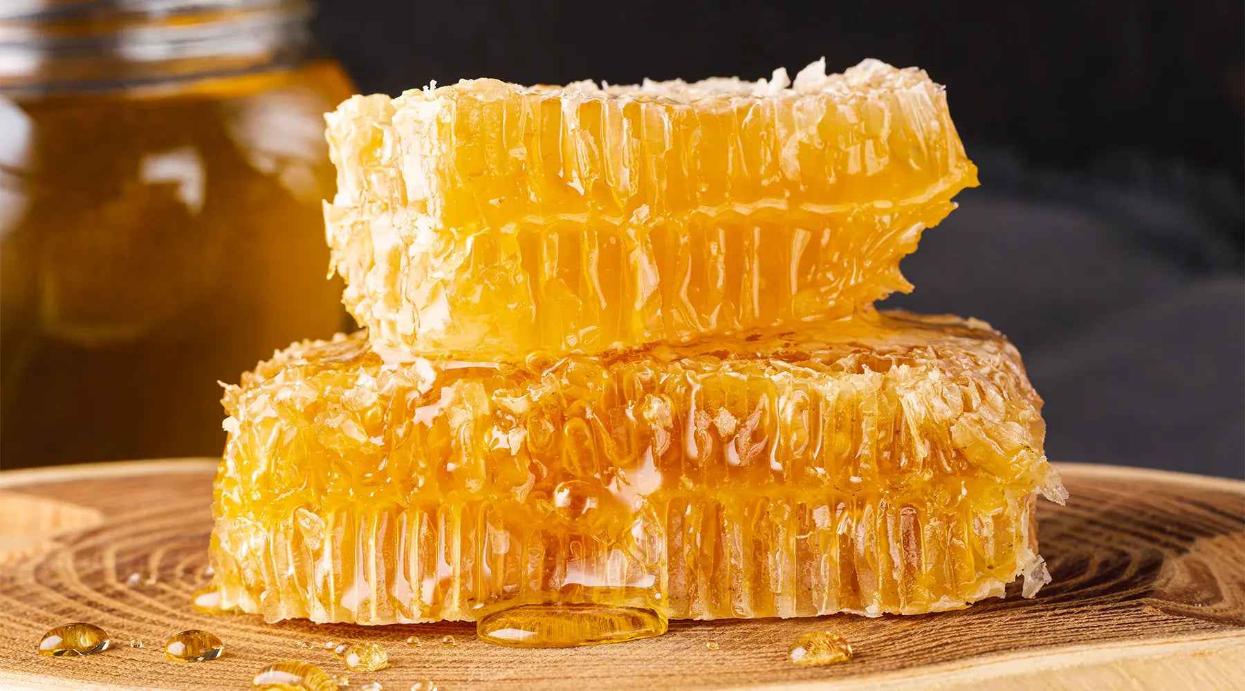 Por que a Própolis Verde deve ser Liofilizada e Wax Free?