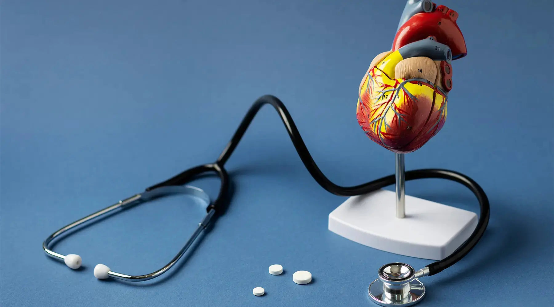 Como normalizar os níveis de colesterol sem uso de medicamentos NatusVita Suplementos