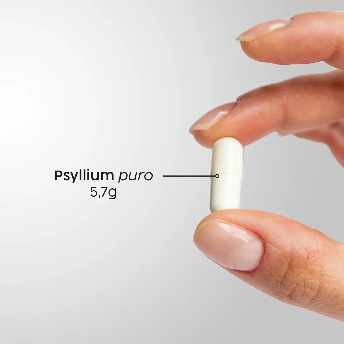 Psyllium Puro 120 cápsulas. Fibra Natural para Intestino e Saciedade NatusVita