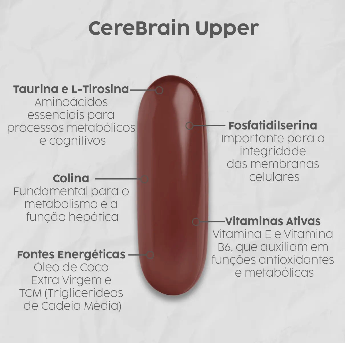 CereBrain Upper (Tirosina, Taurina, Fosfatidilserina, Colina, Vitamina B6 e TCM em cápsulas) NatusVita