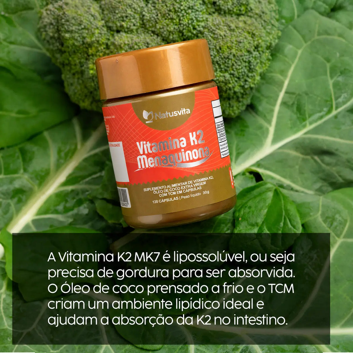 Vitamina K2 Concentrada (Menaquinona MK7) com TCM NatusVita