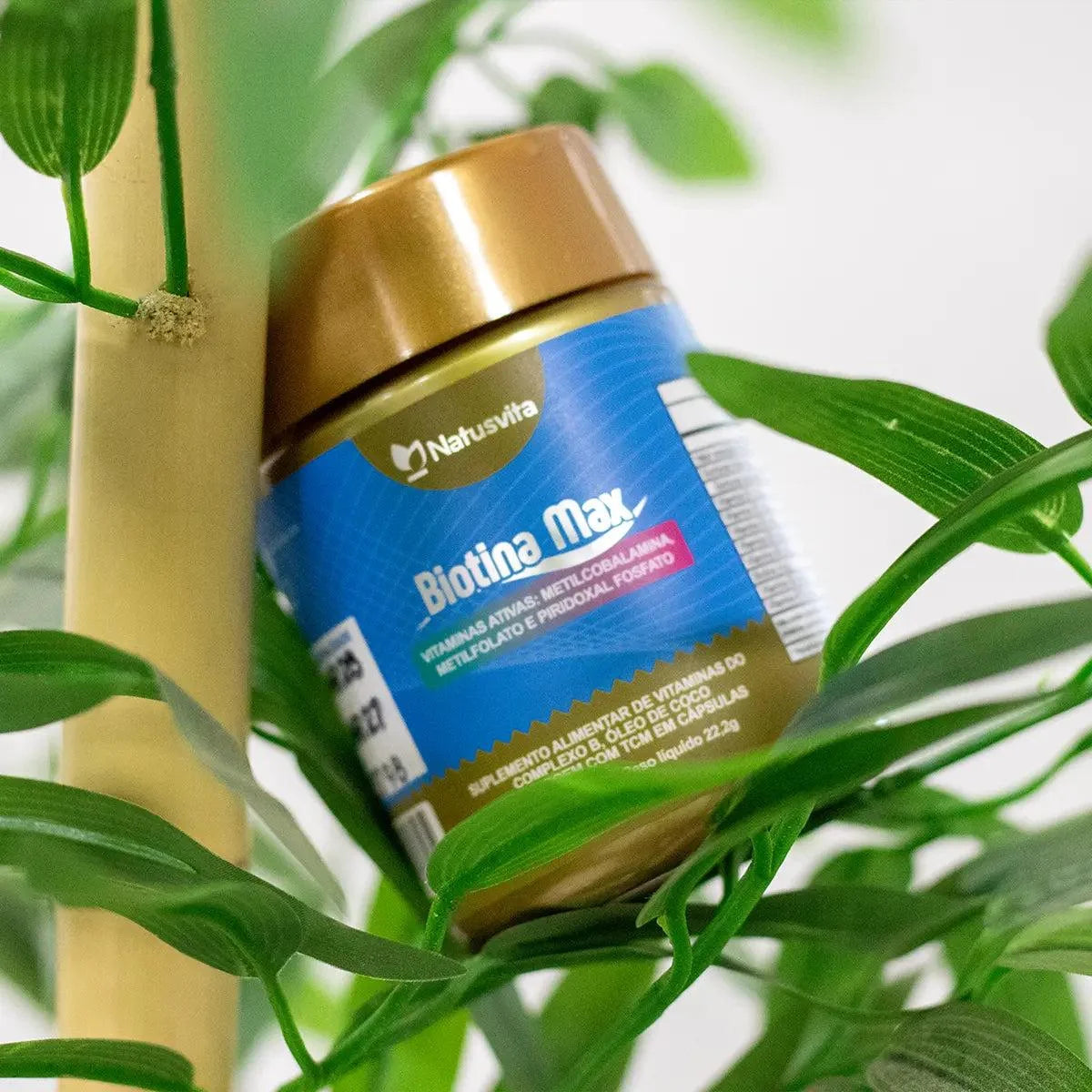 Vitaminas do complexo b em cápsulas