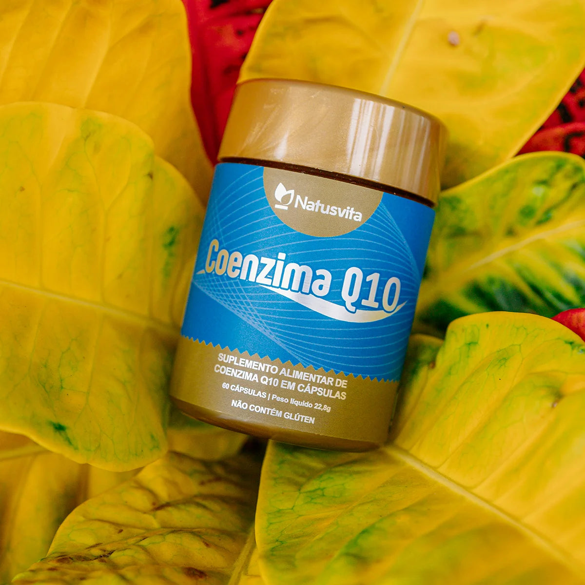 Coenzima Q10 em cápsula