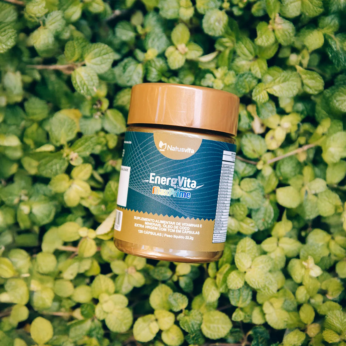 EnergVita MaxPrime (Multivitaminico com Vitaminas Ativas e Minerais Quelatos com TCM em Cápsulas Softgel)