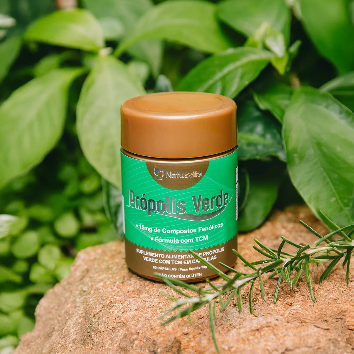 Própolis Verde Concentrada (15mg de Compostos Fenólicos) com TCM em Cápsulas