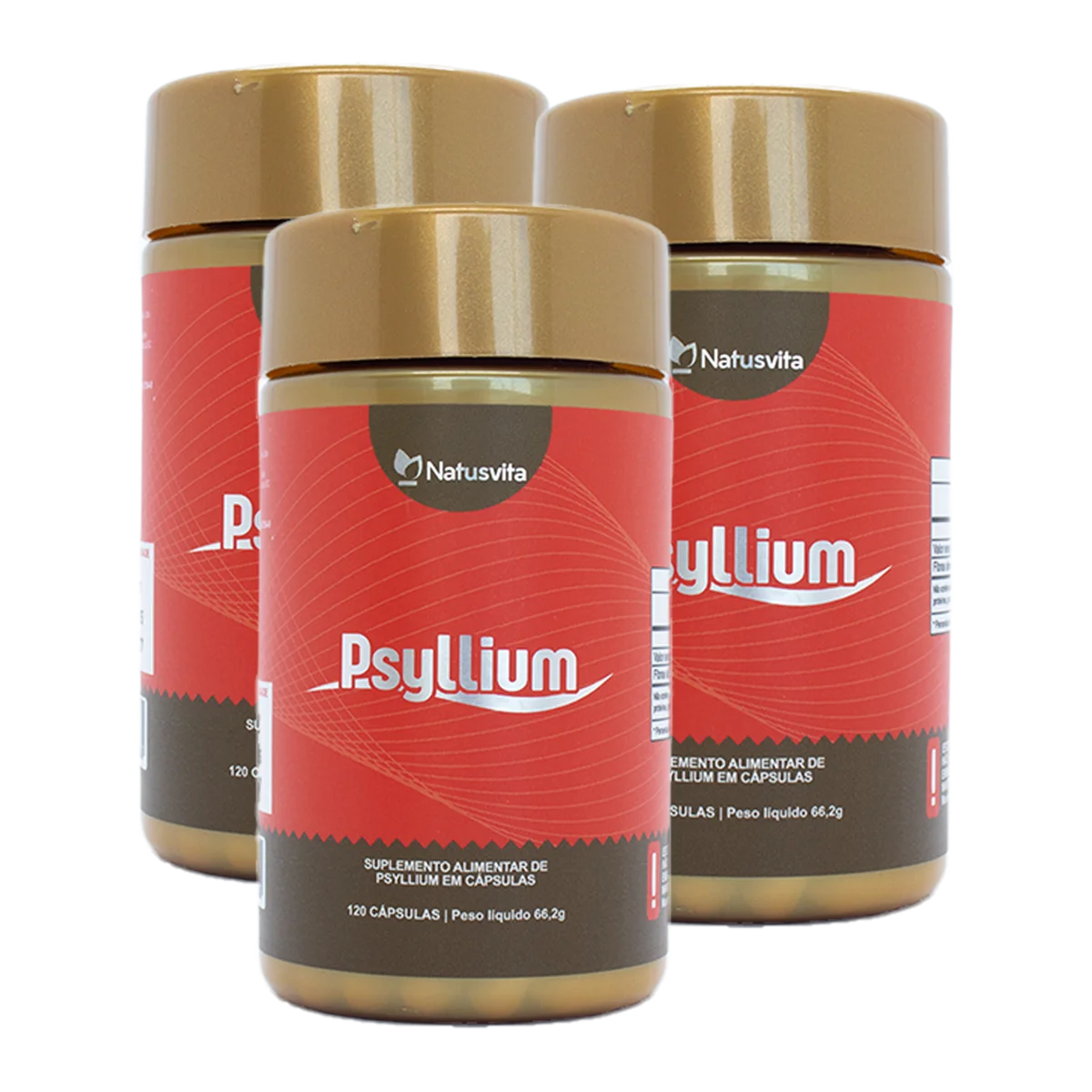 Psyllium Puro