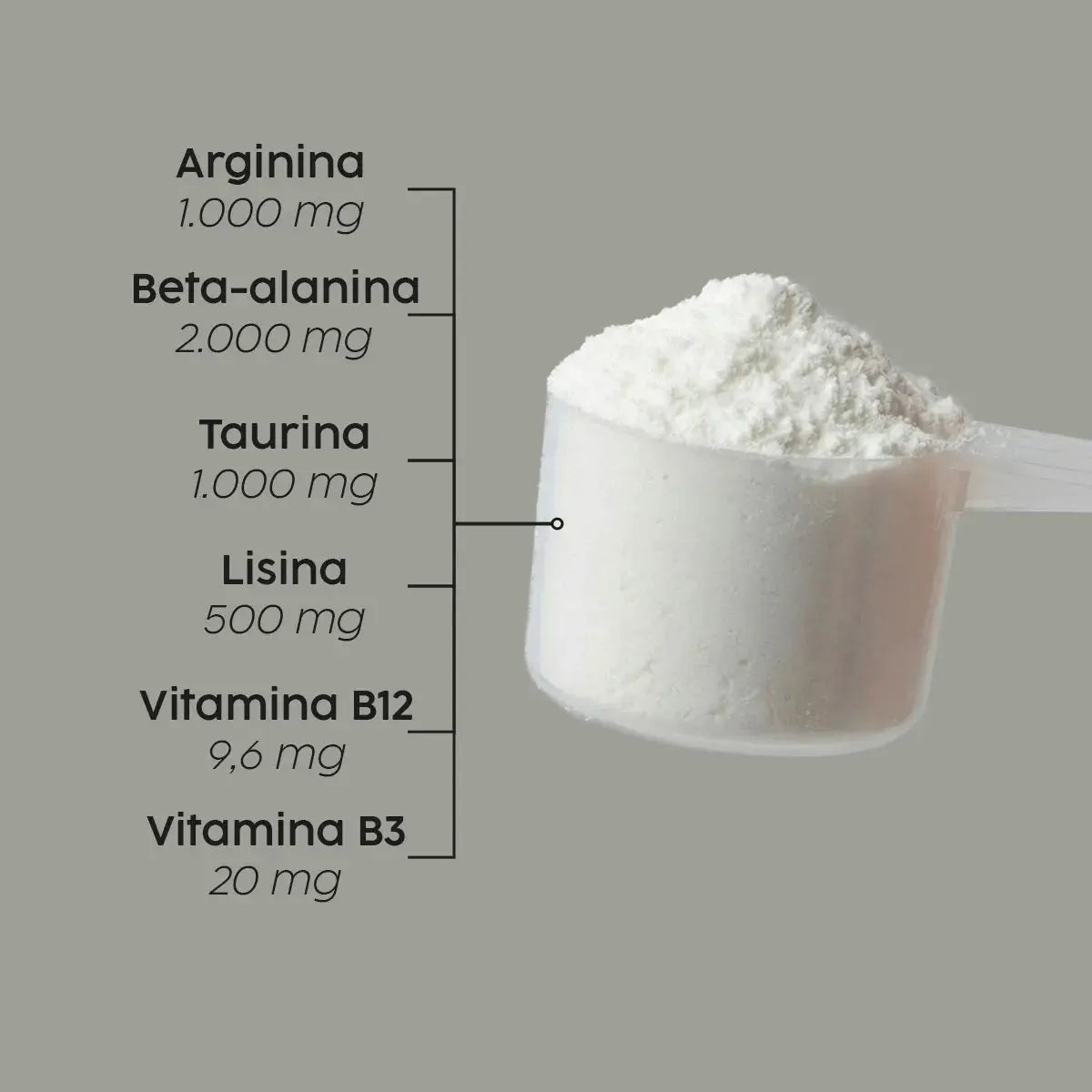 Pré Treino AQC Beta Alanina Arginina Taurina Lisina B3 B12 NatusVita