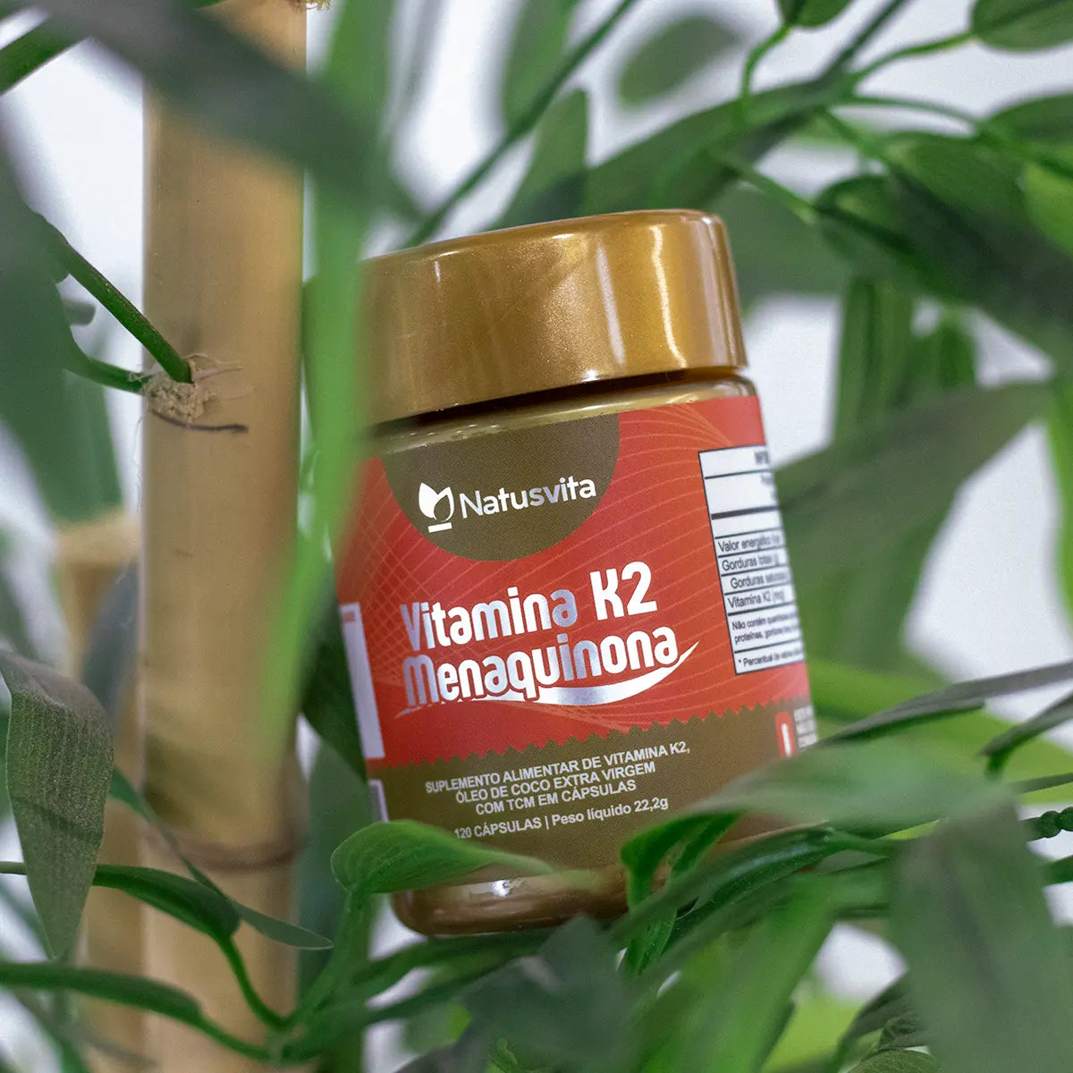 Vitamina K2 MK7 em cápsula