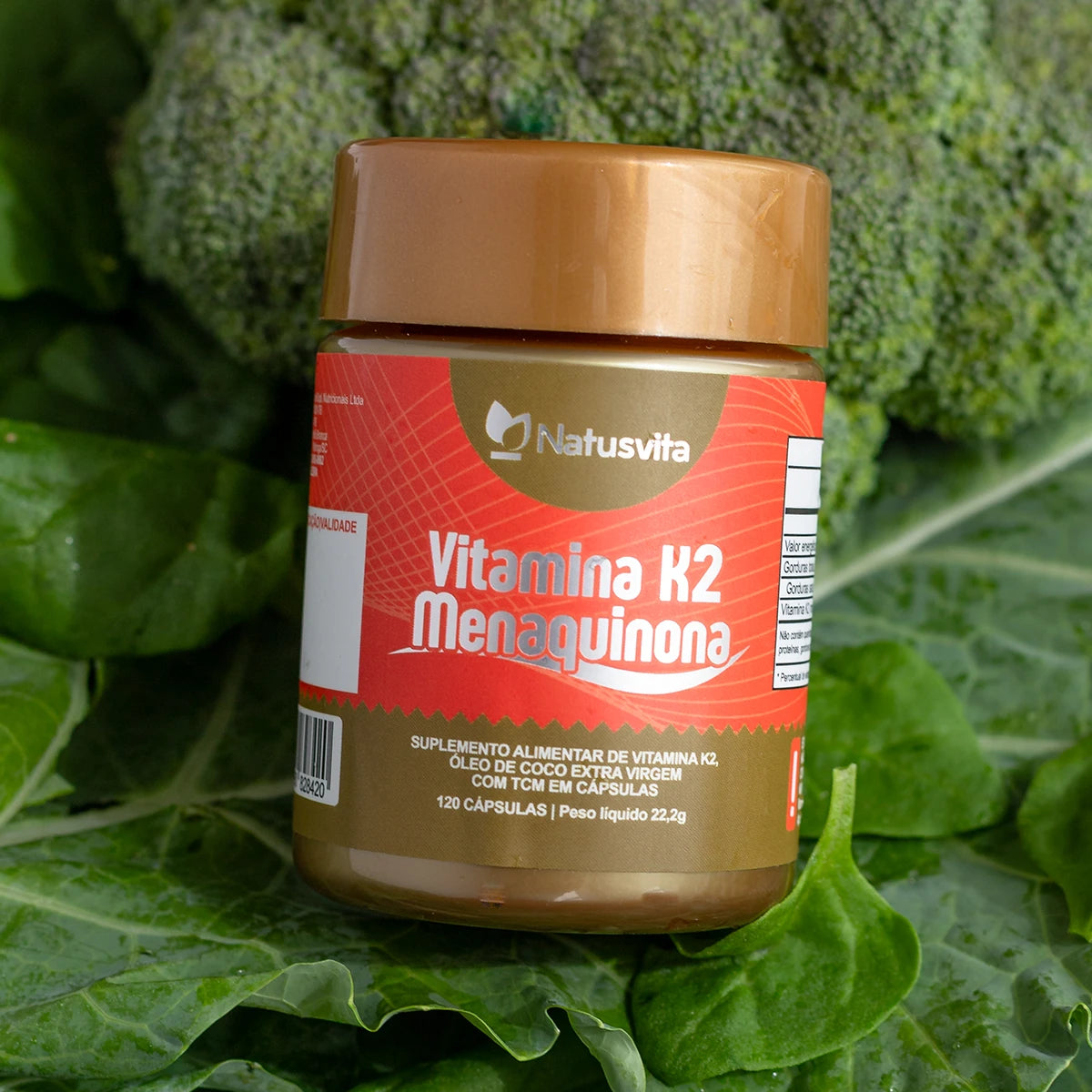 Vitamina K2 Concentrada (Menaquinona MK7)