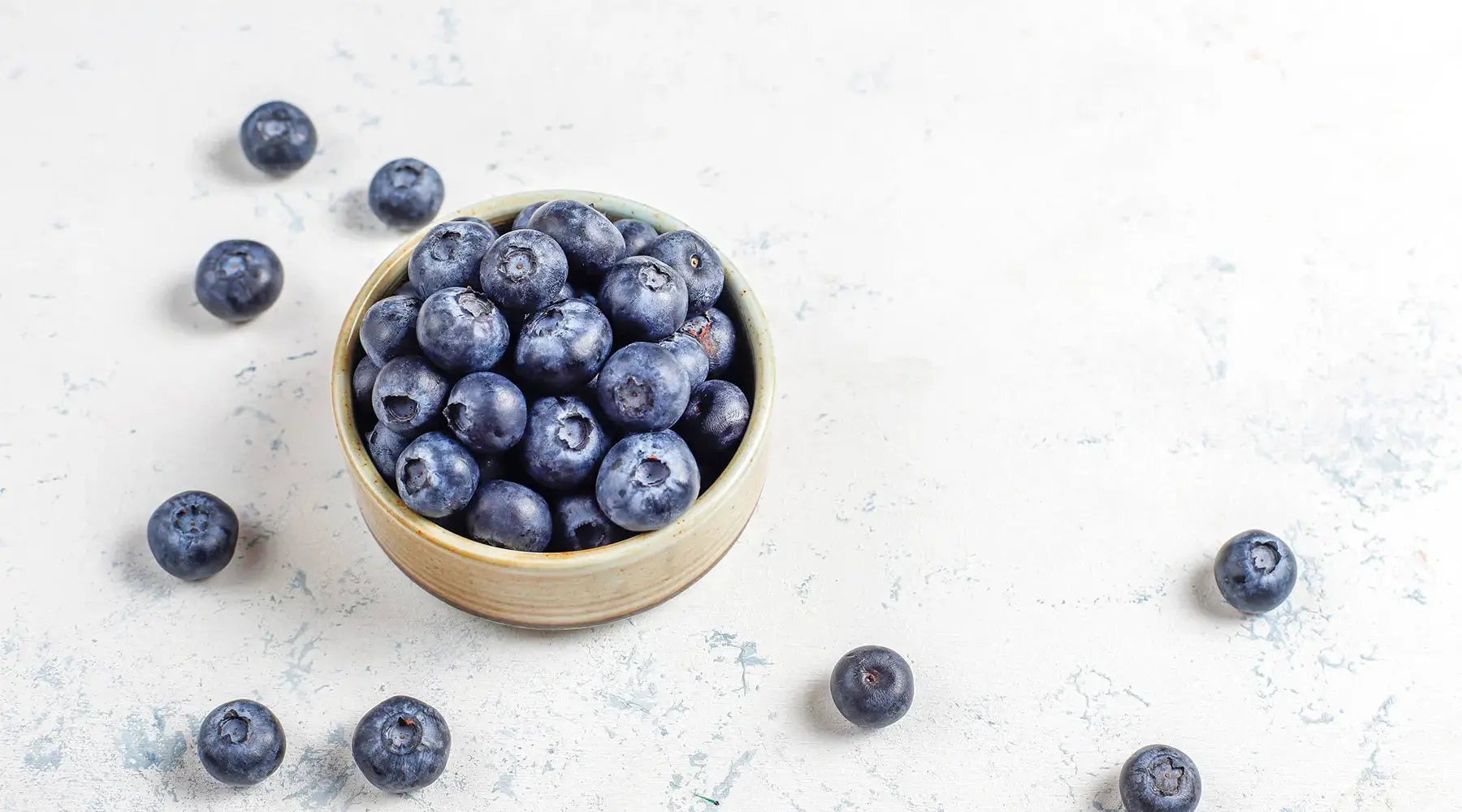 Blueberry – O Mirtilo. Tudo Sobre NatusVita Suplementos