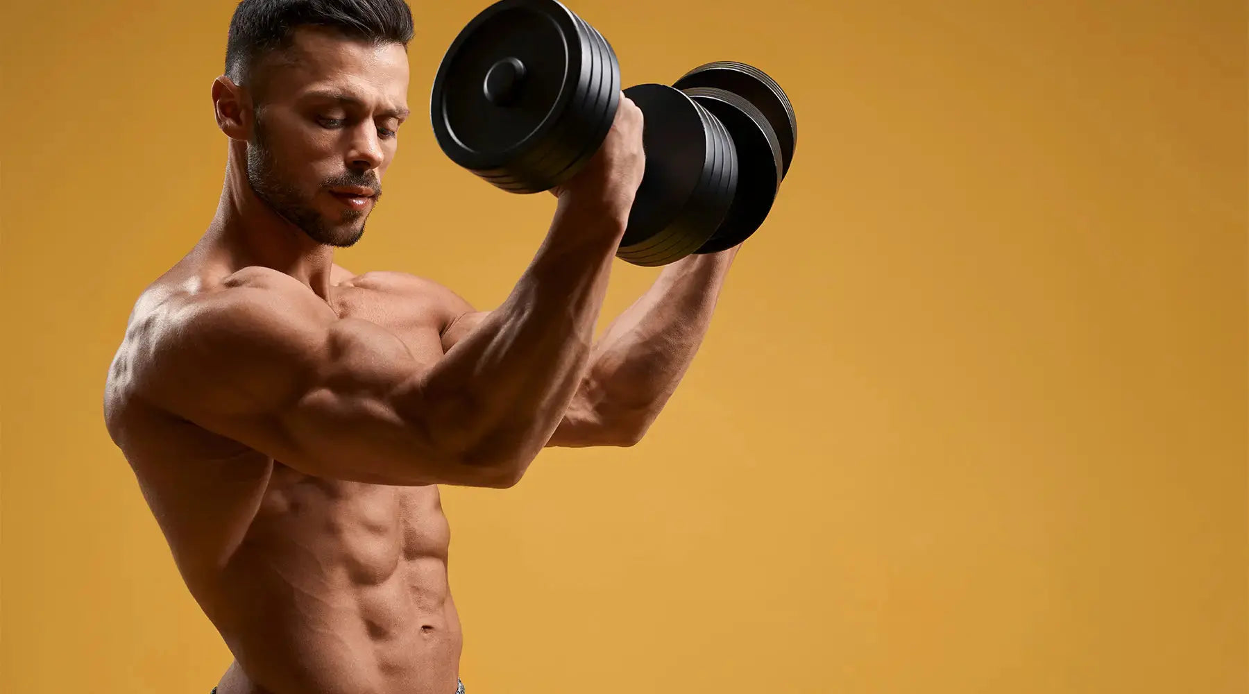 Hipertrofia Muscular: Qual a importância da alimentação correta? NatusVita Suplementos