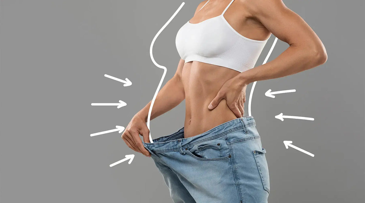 Acelerar seu Metabolismo NatusVita Suplementos
