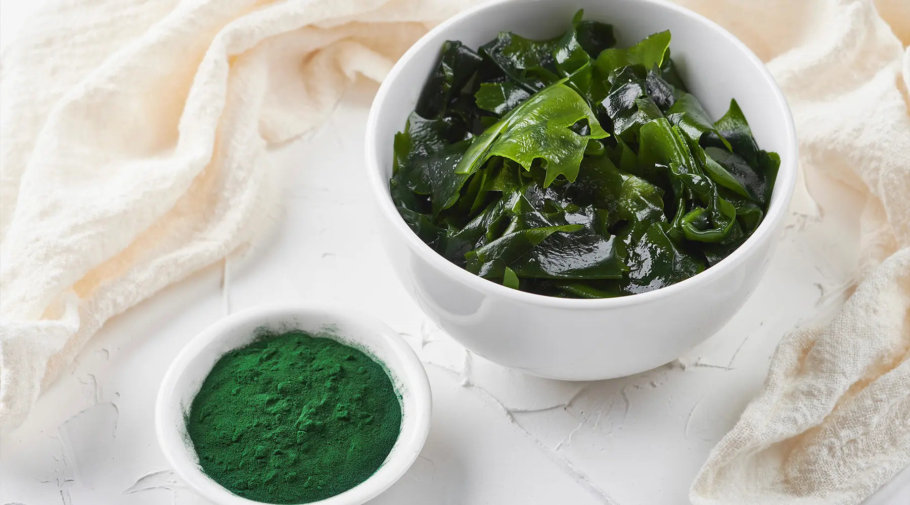 Spirulina – Conheça mais sobre essa microalga incrível