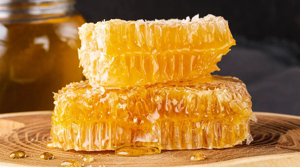 Por que a Própolis Verde deve ser Liofilizada e Wax Free? NatusVita Suplementos