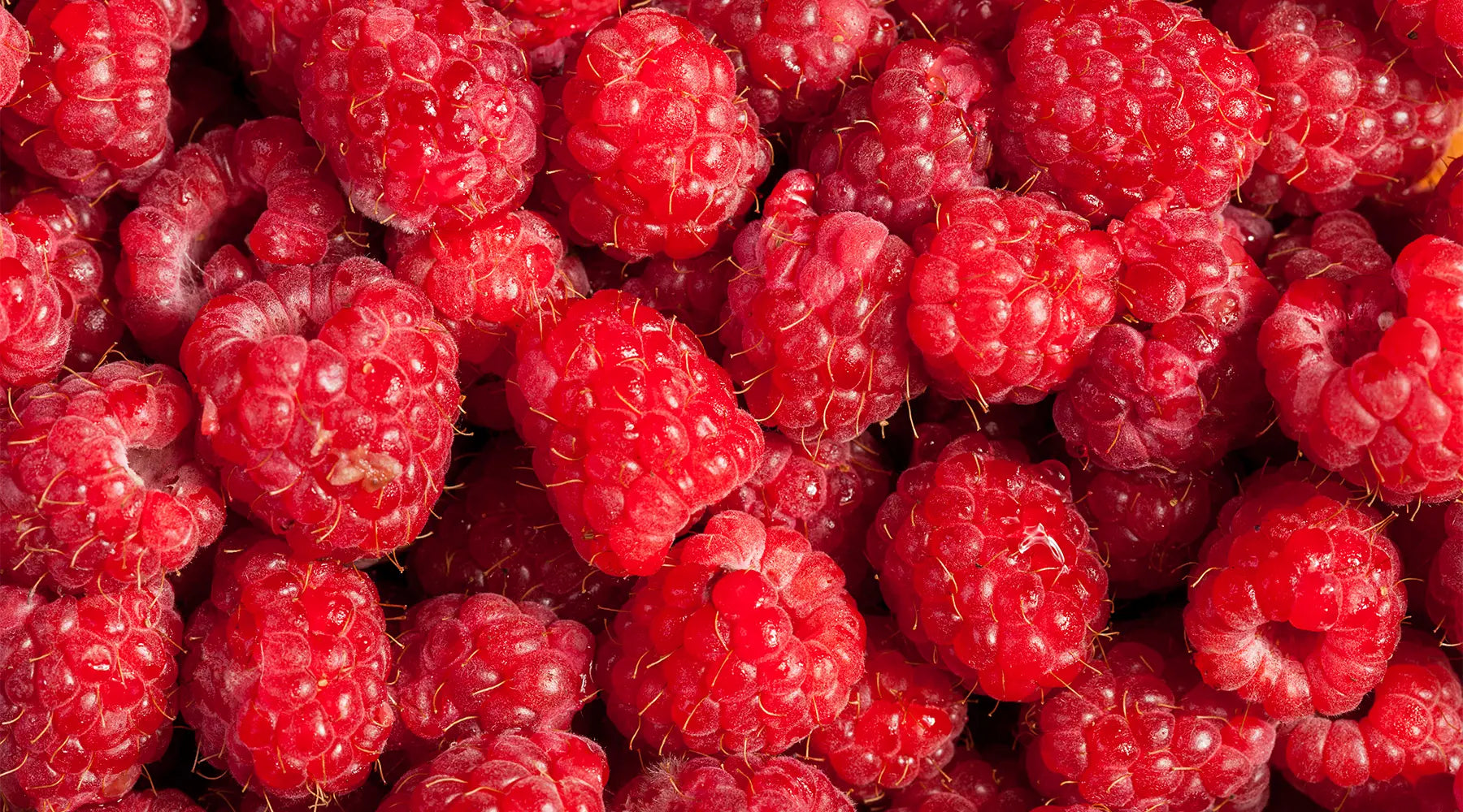 Raspberry e o seus benefícios para a saúde?