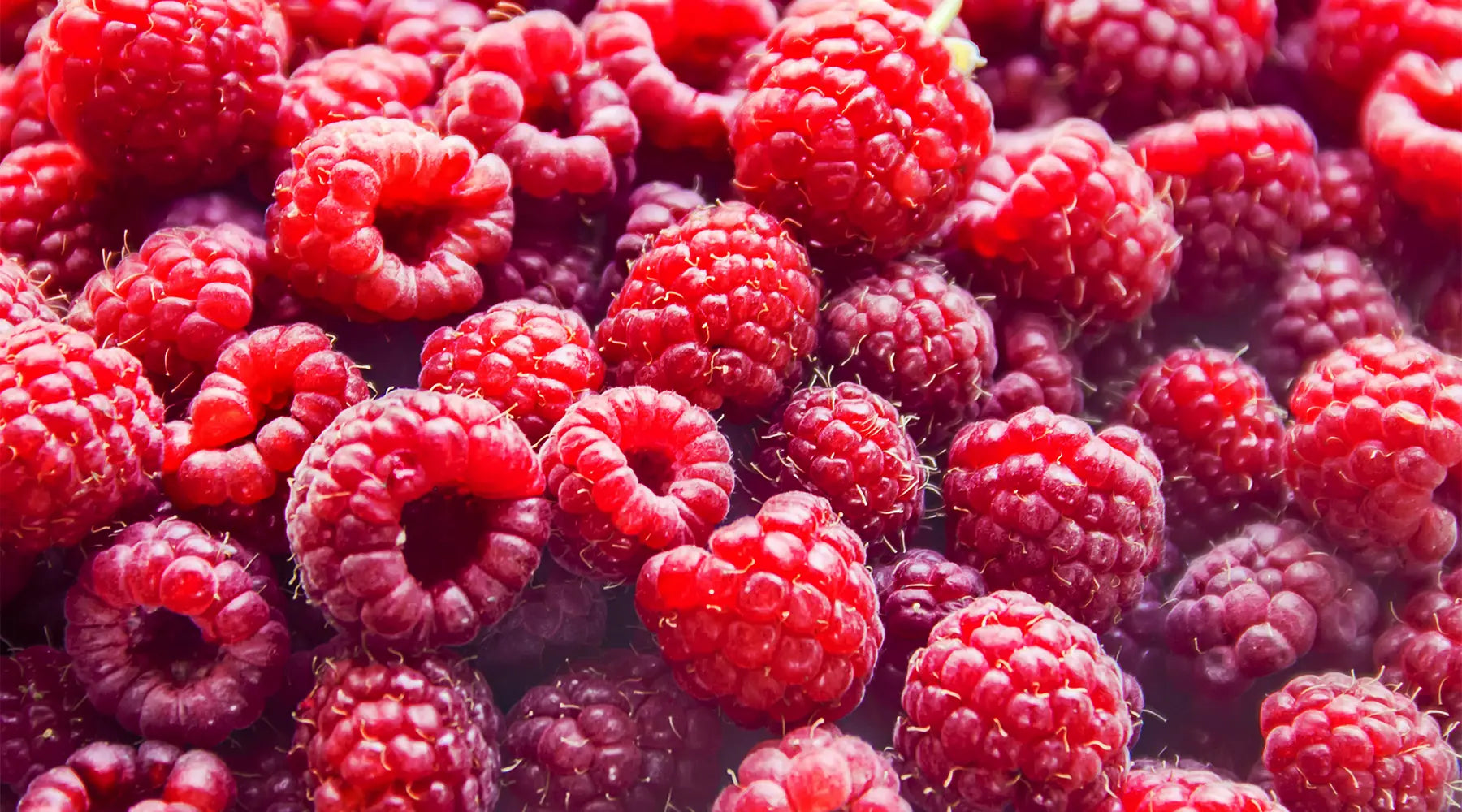 Raspberry – O que é? Benefícios