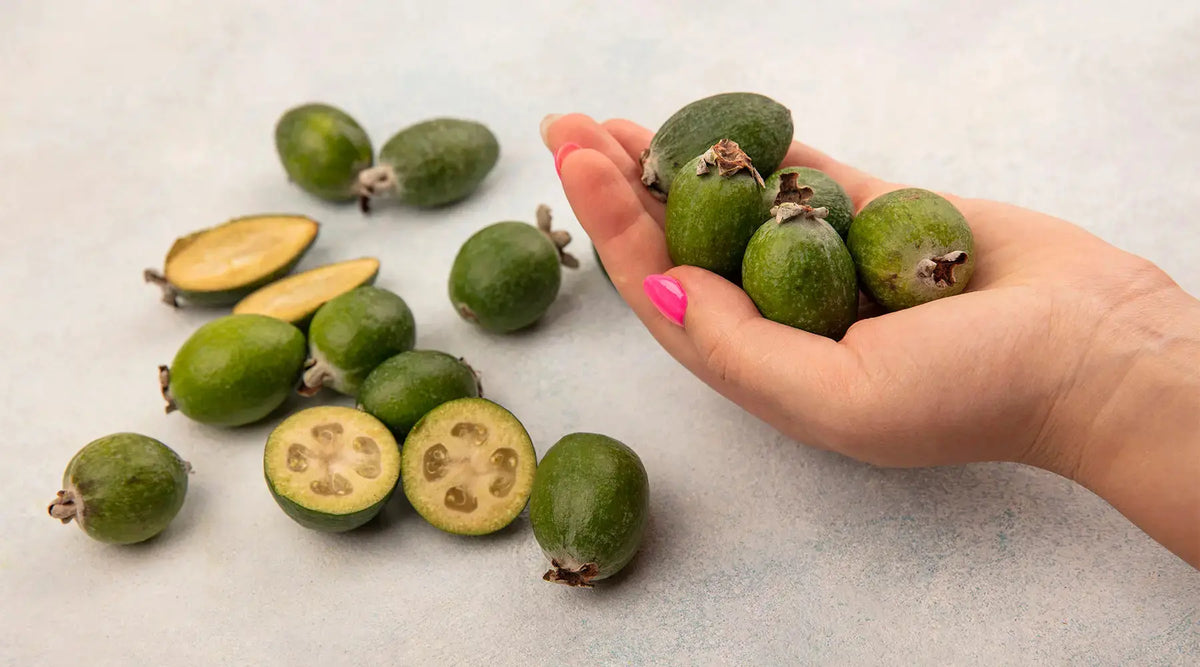 Garcinia Cambogia – O que é? Para que Serve? Funciona? NatusVita Suplementos