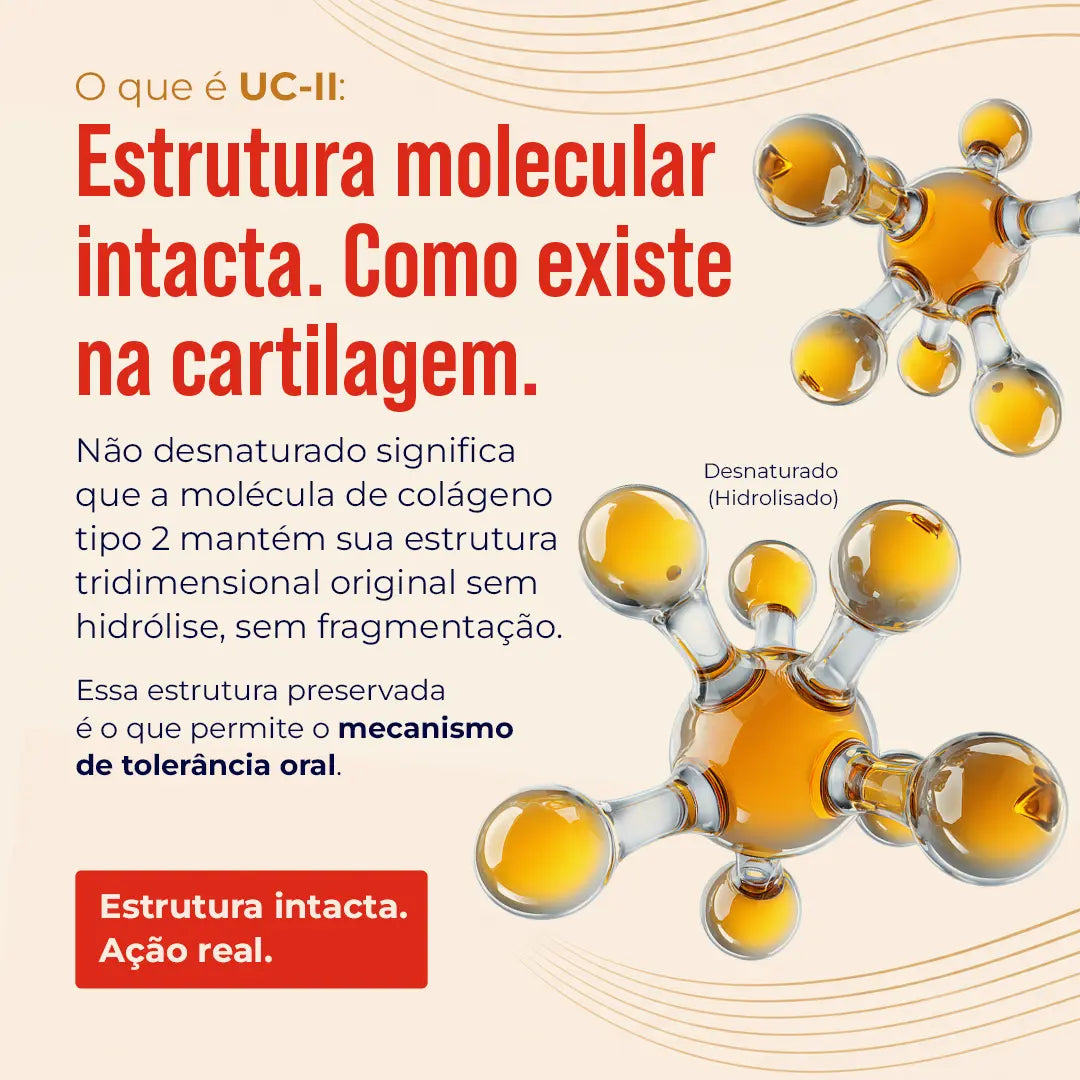 Colágeno Tipo 2 - UC II. Não Desnaturado. 60 cápsulas. NatusVita