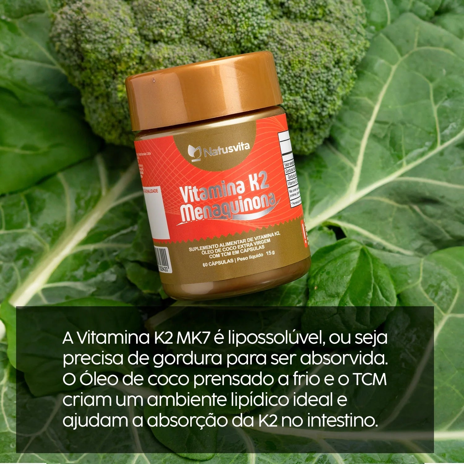 Vitamina K2 Concentrada (Menaquinona MK7) com TCM