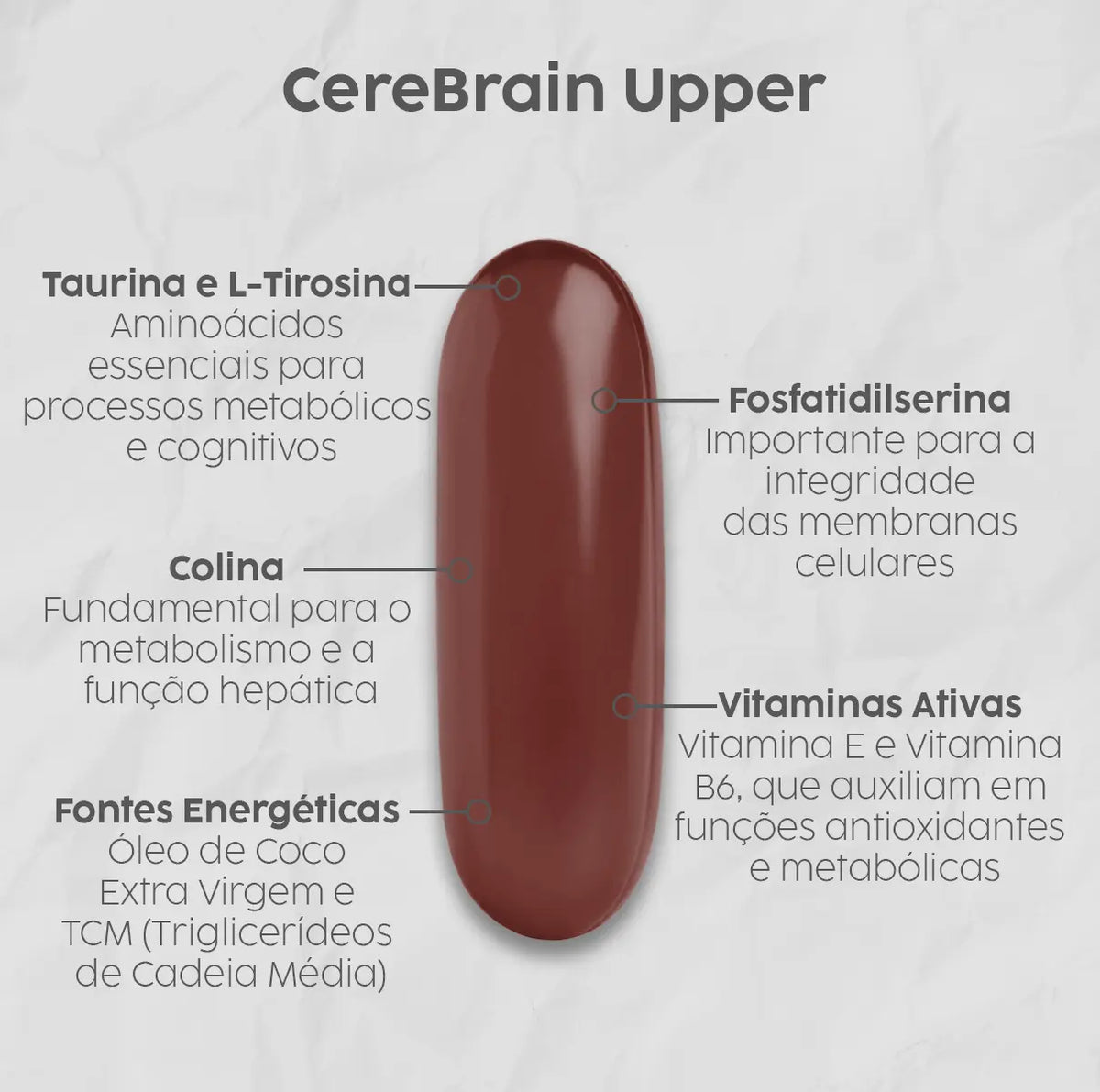 CereBrain Upper (Tirosina, Taurina, Fosfatidilserina, Colina, Vitamina B6 e TCM em cápsulas) NatusVita