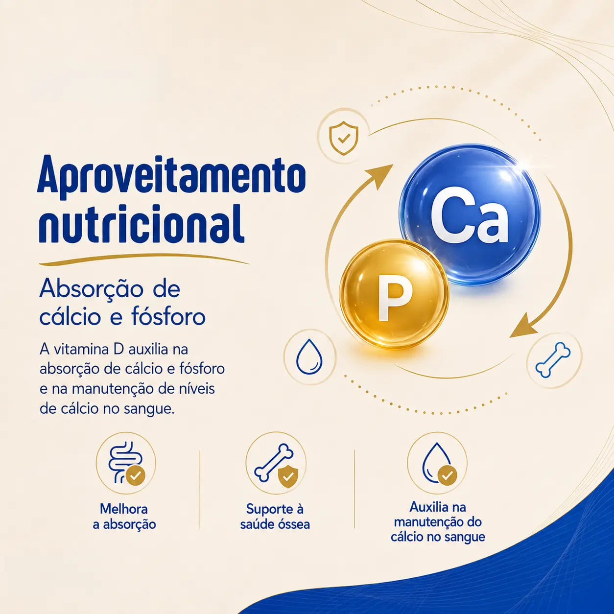 Vitamina D3 2.000 UI. Colecalciferol. 120 cápsulas. NatusVita