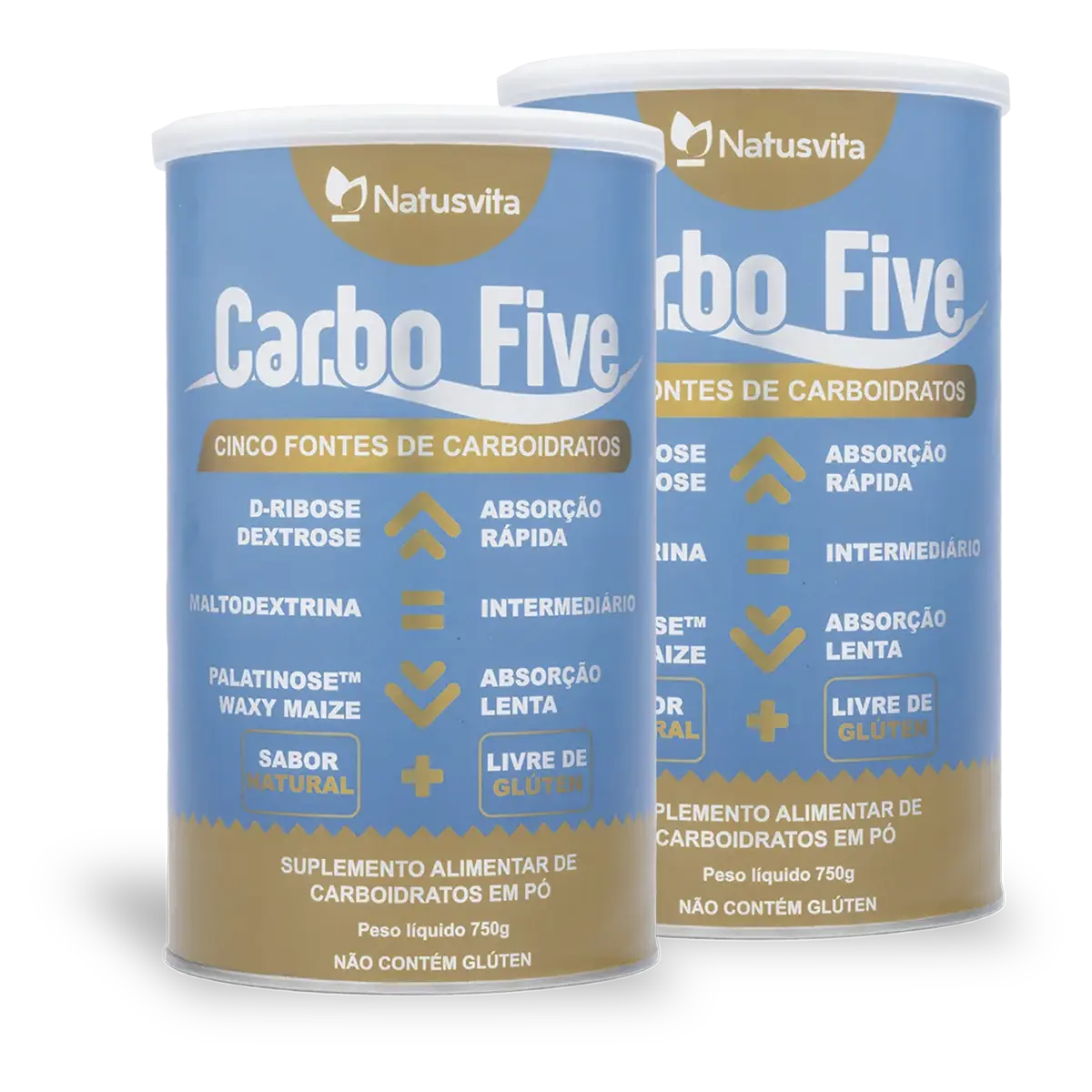 CarboFive 5:1 (D-Ribose, Dextrose, Maltodextrina, Palatinose e Waxy Maize)