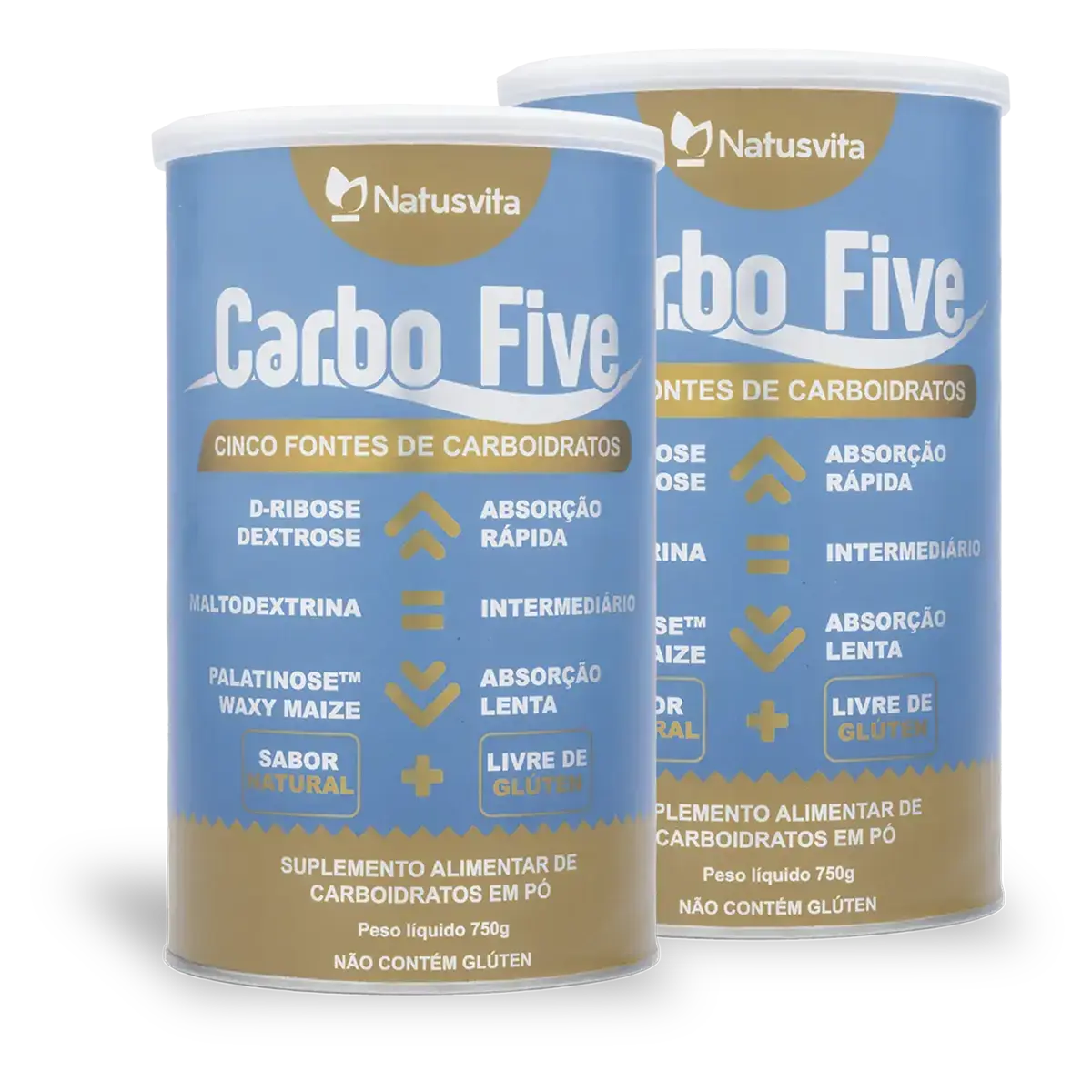 CarboFive 5:1 (D-Ribose, Dextrose, Maltodextrina, Palatinose e Waxy Maize) NatusVita