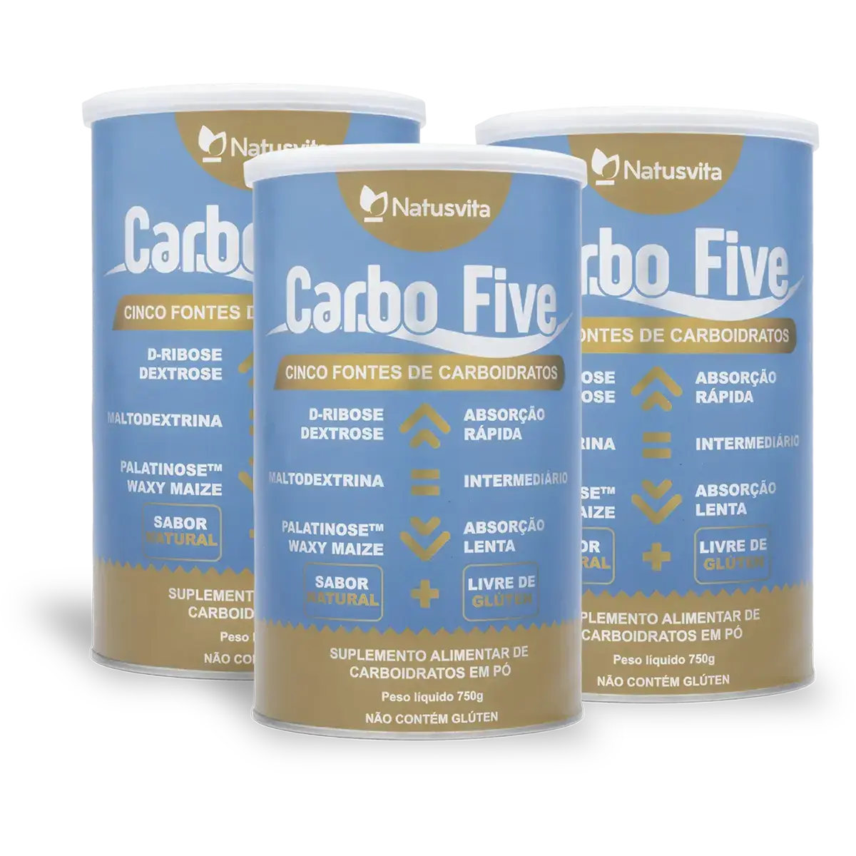 CarboFive 5:1 (D-Ribose, Dextrose, Maltodextrina, Palatinose e Waxy Maize) NatusVita
