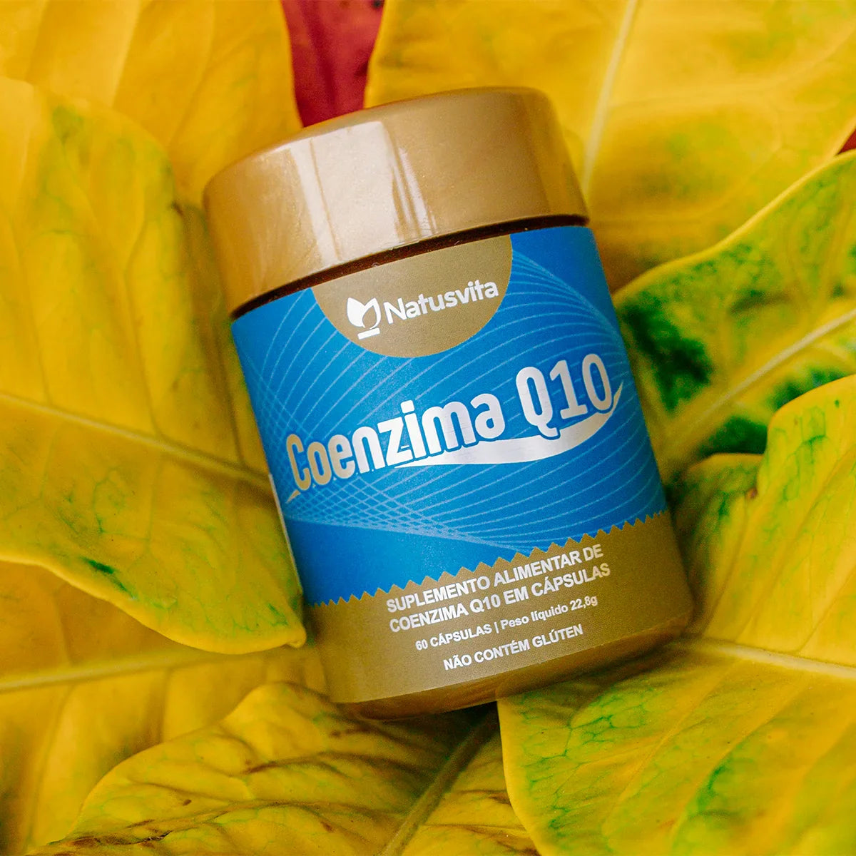 Coenzima Q10 em cápsula