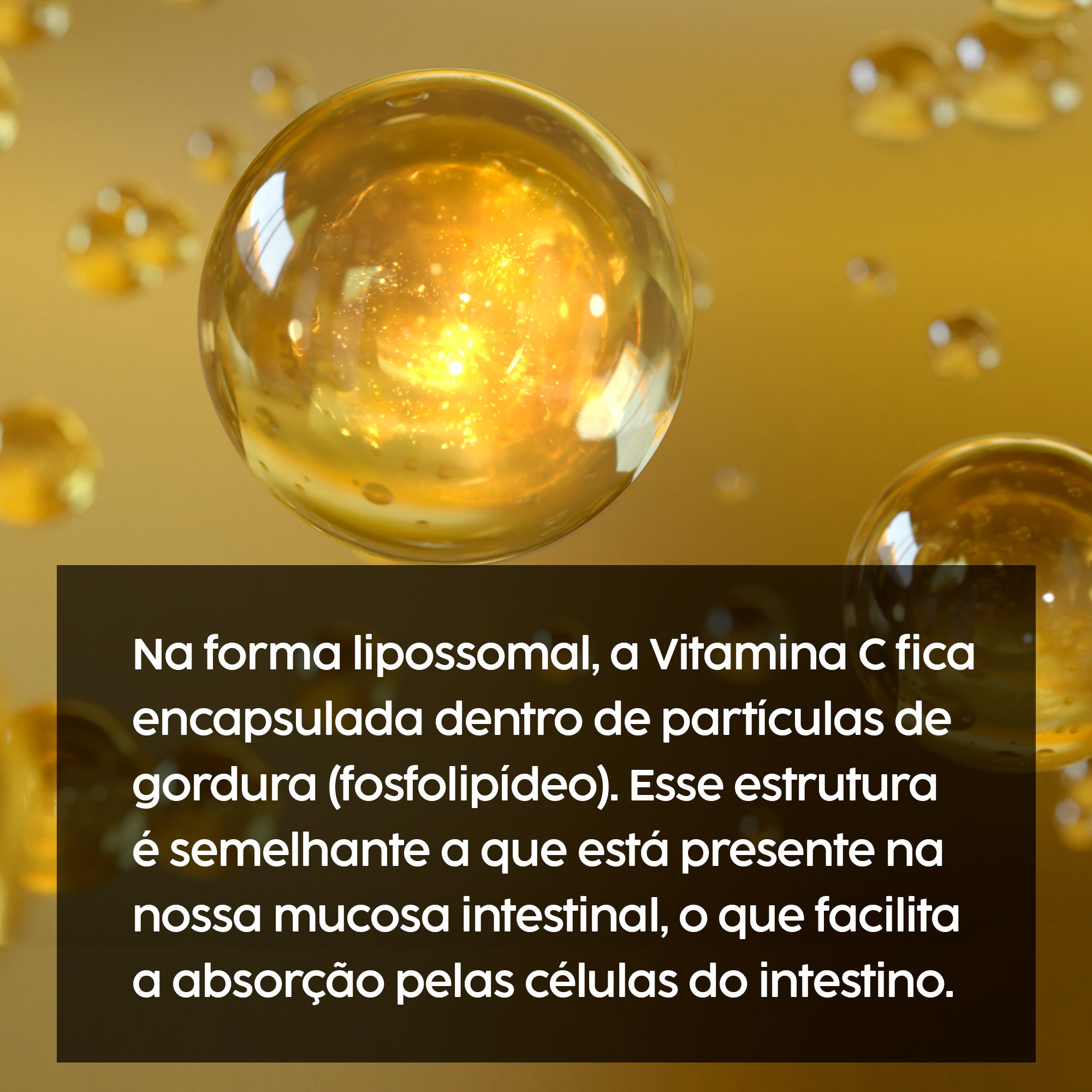 Vitamina C Lipossomal com TCM Softgel