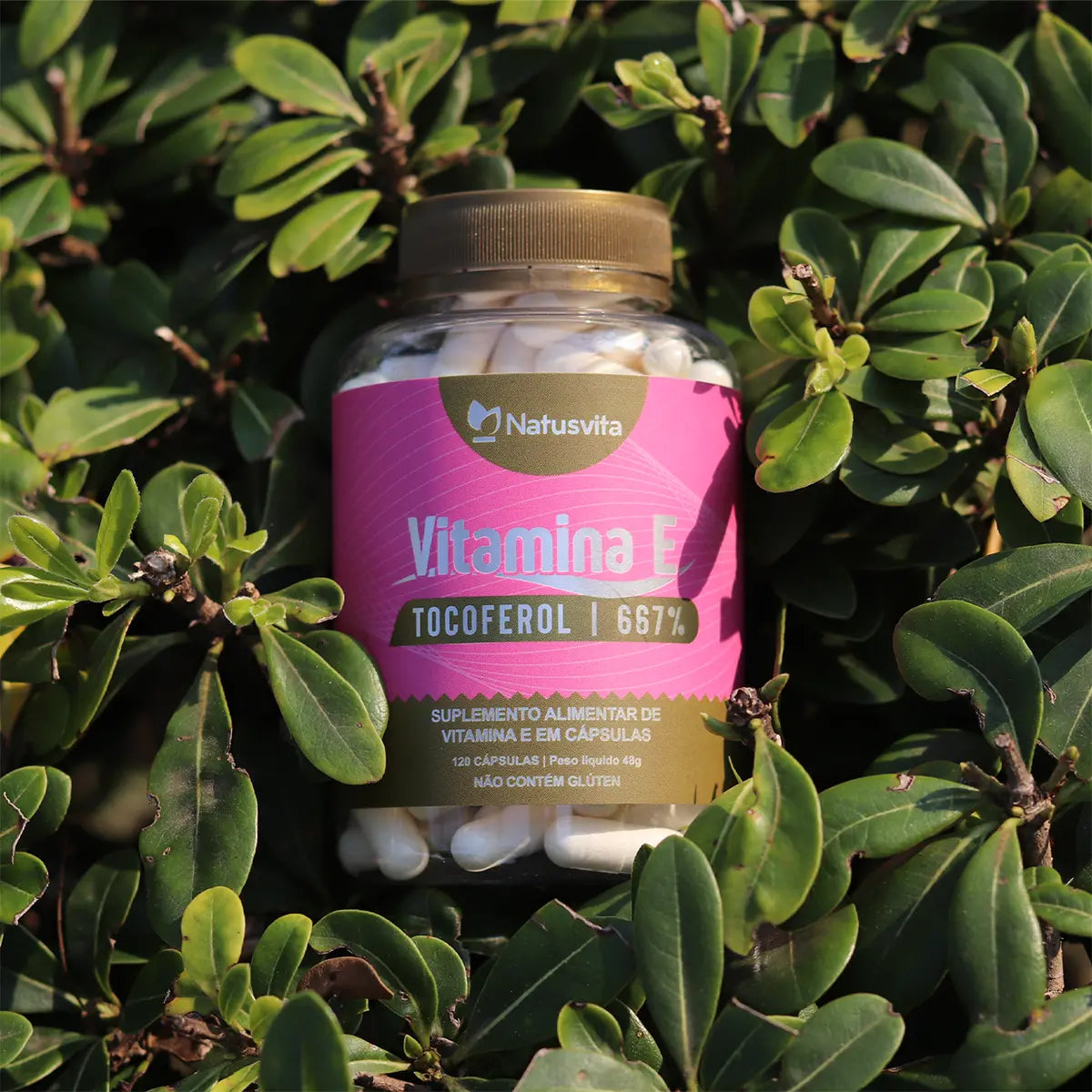 Vitamina E (Tocoferol) em cápsula