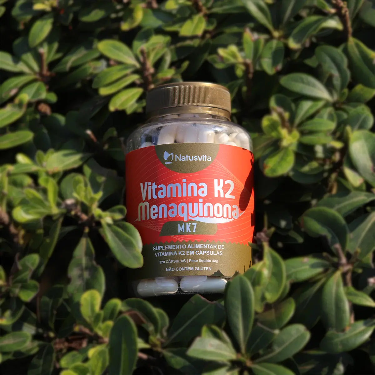 Vitamina K2 MK7 em cápsula