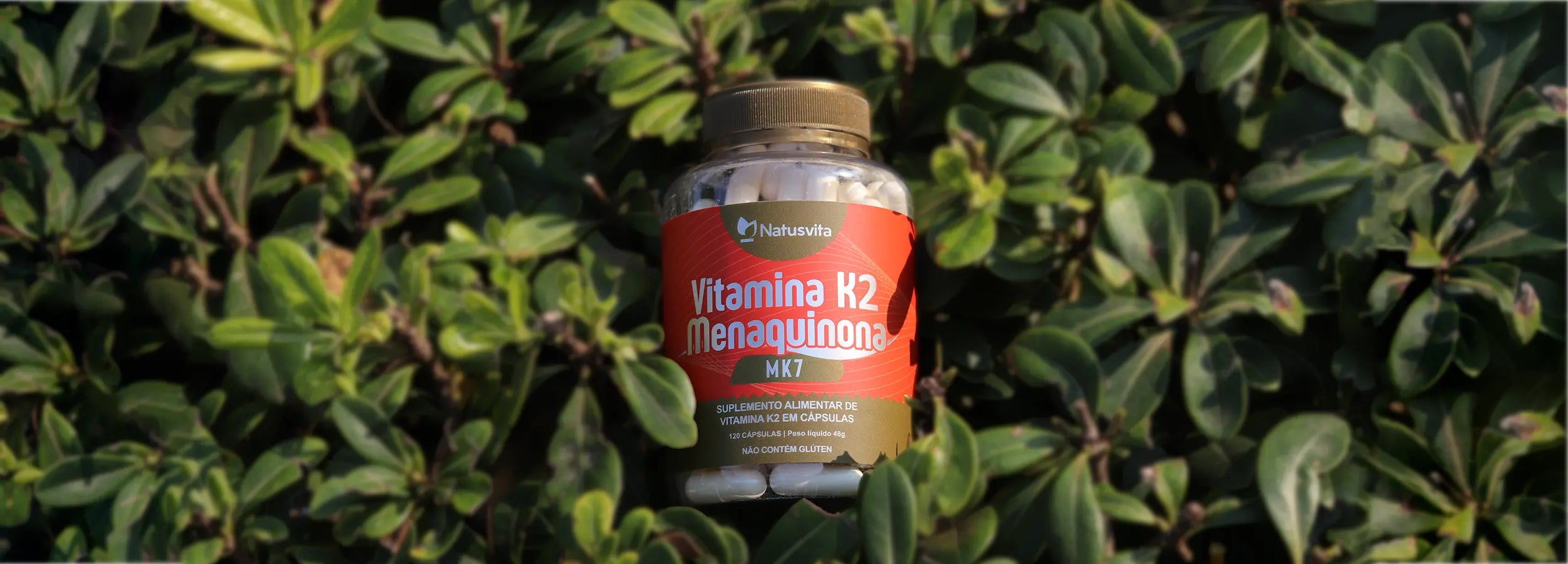 Vitamina K2 MK7 em cápsula